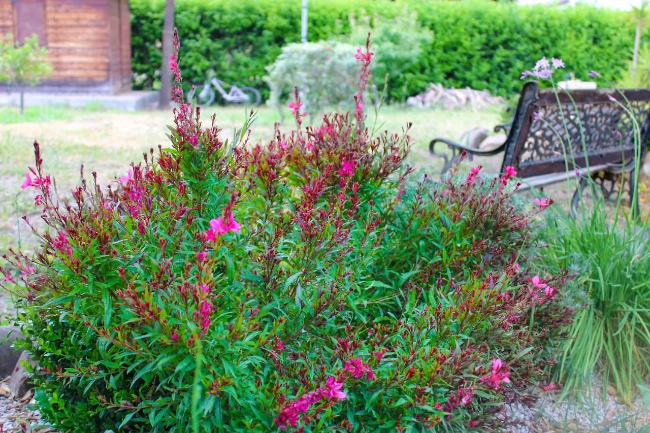 La Casa Di Lina - Capo D'Orlando, Casa Con Ampio Giardino Villa