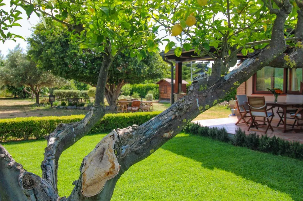 La Casa Di Lina - Capo D'Orlando, Casa Con Ampio Giardino 빌라 펜션
