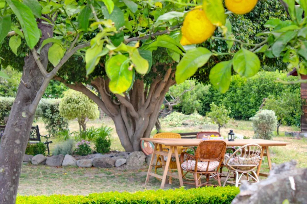 La Casa Di Lina - Capo D'Orlando, Casa Con Ampio Giardino Villa
